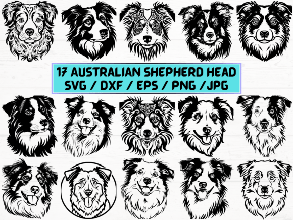 Australian Shepherd Head Graphic for Crafts and Branding