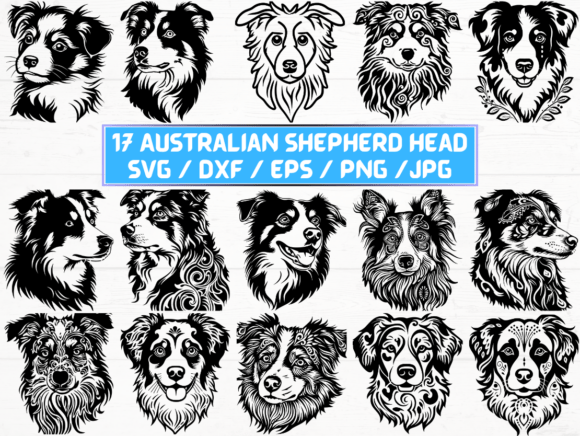 Australian Shepherd Head SVG File for Graphics and Crafts