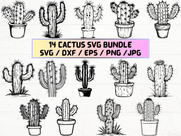 Cactus Engraving SVG: Graphics for Crafts & Content Publishers