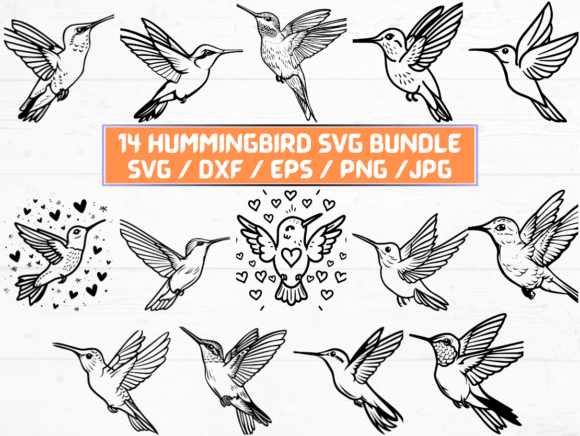 Hummingbird SVG File: A Designer’s Real-World Embroidery Review