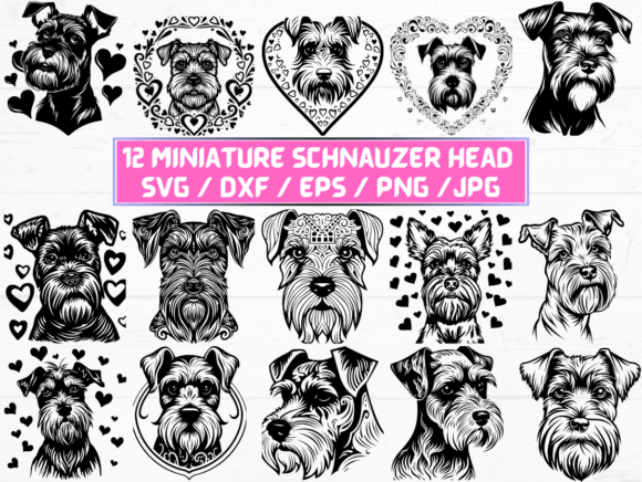 Miniature Schnauzer Head SVG. DXF. EPS