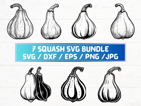 Squash Laser Cut Graphics for Crafts
